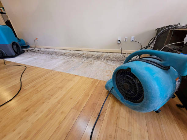 Professional Emergency Water Damage technician working in New Augusta, MS